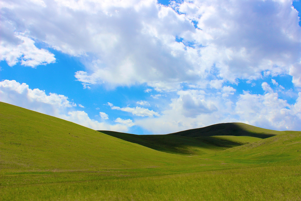 Mongolia XP background Bliss landscape landskap steppene steppes nasjonalgastro national gastro