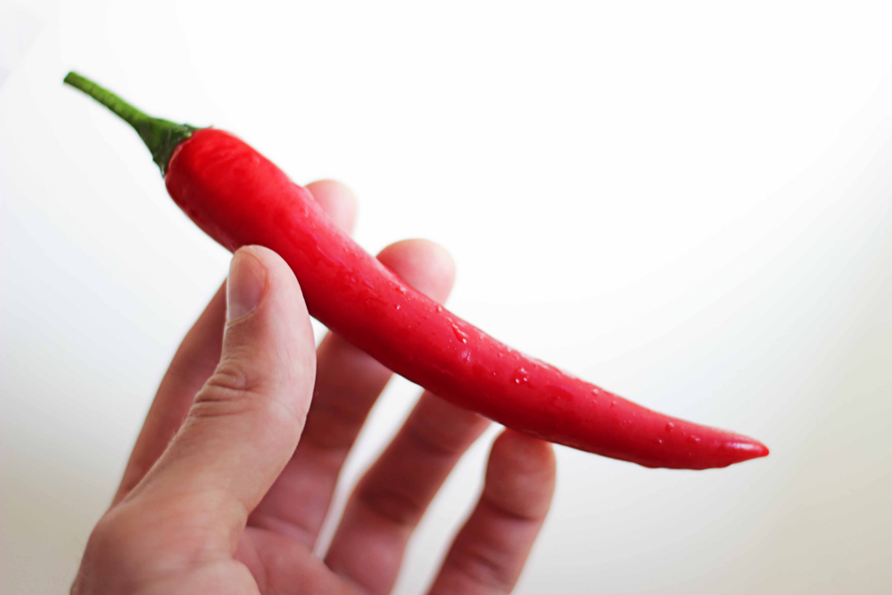 oslo pepper expo 2019 matbloggere nasjonalgastro kaayne anniken chilifestival arrangement Facebook chili spicy chiliplanter hva skjer i oslo