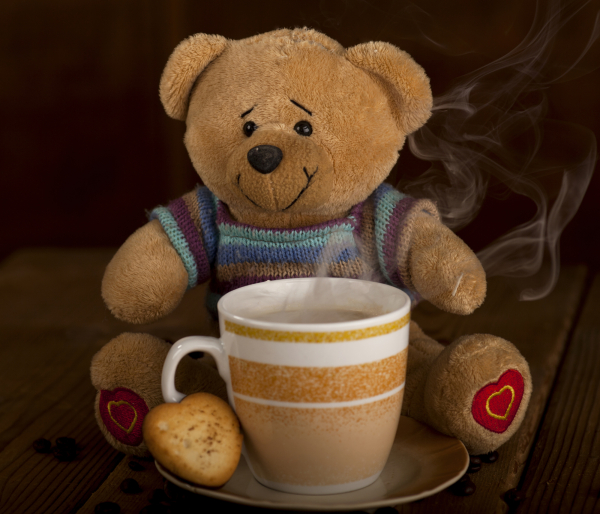 Sweet Teddy bear with cup of coffee, hot chocolate or tea and cookie in heart shape on brown wooden background.