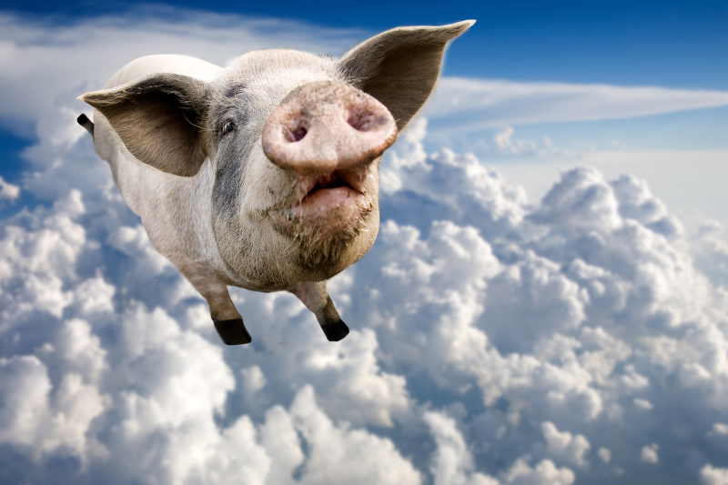 A pig flying through the clouds in the sky
