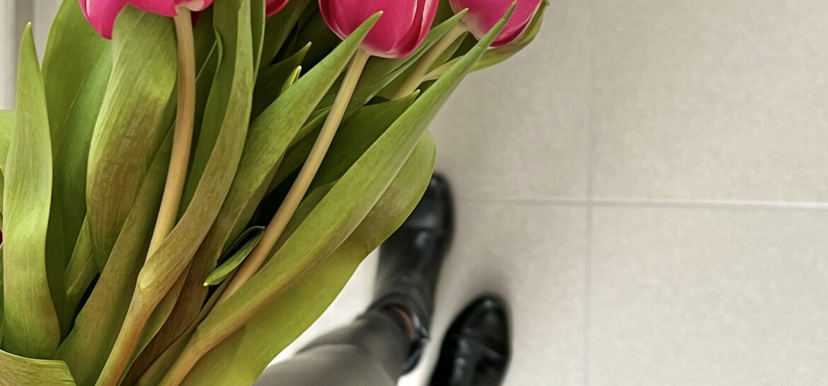 vår tulipaner
