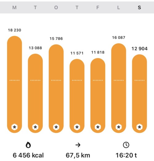 Dette er ukas skritt, kalorier, kilometer og timer oppsummert i appen StepsApp 