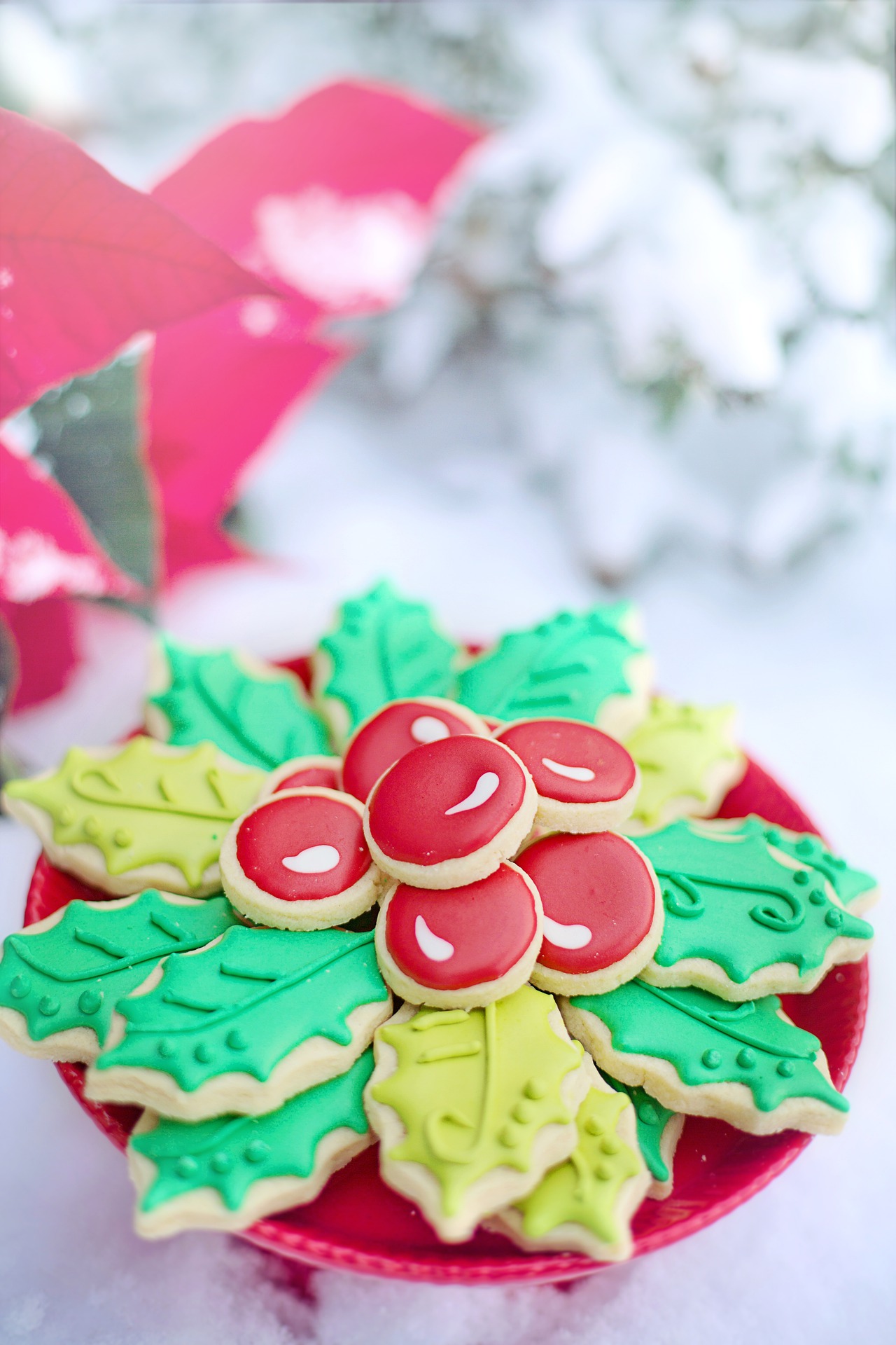 Image by Jill Wellington from Pixabay Christmascookies
