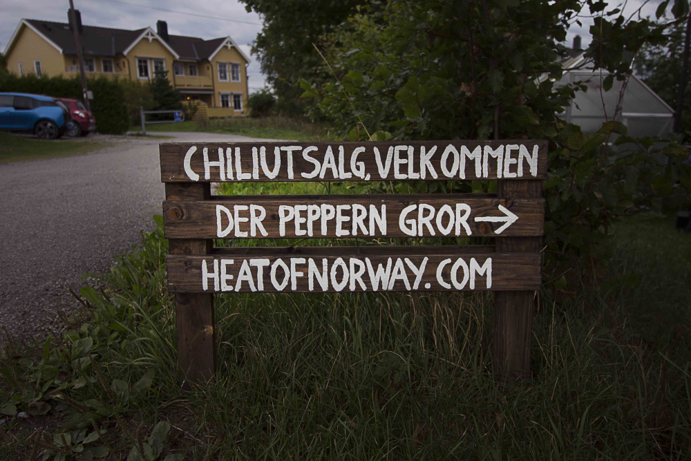 heat of norway chili norsk chiliprodusent norge carolina reaper nasjonalgastro oslo pepper expo