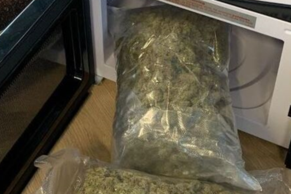 Tolletaten fant over ett kilo marihuana