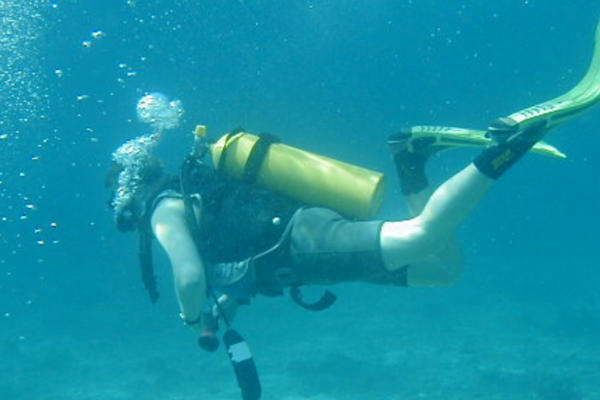 Redningsetater søker etter en dykker