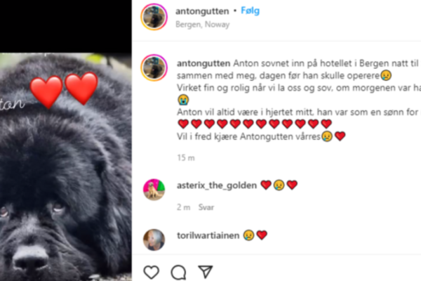 TV-hunden Anton er død