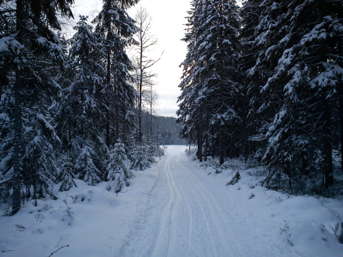 25 – 26 januar 2012 Skiturer i Østmarka