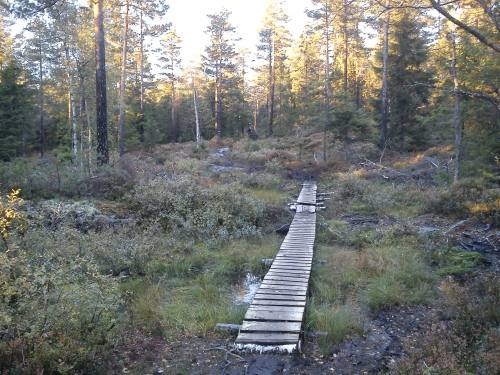 13 mai 2013 Østmarka – Slettfjell