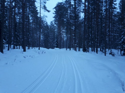 Østmarka; på ski fra Haraløkka – Høyås – Pettersbråten – Sør-Elvåga…