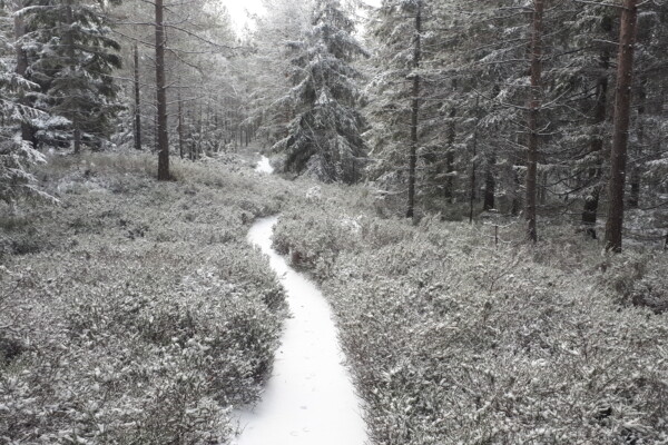 Østmarka; På snødekte stier frem og tilbake over Slettfjell…….