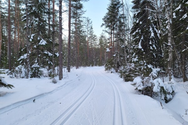 Østmarka; Siste skitur for denne gang …??