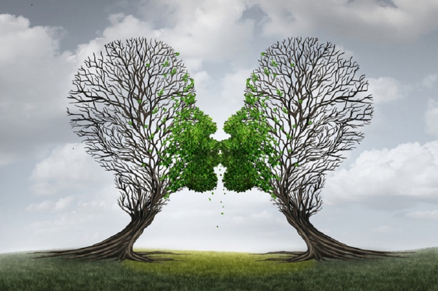 Love Therapy and relationship recovery counseling concept as two empty trees shaped as a human head attracted together as a devoted loving couple with kissing lips resulting in a return to a healthy passionate ralation.