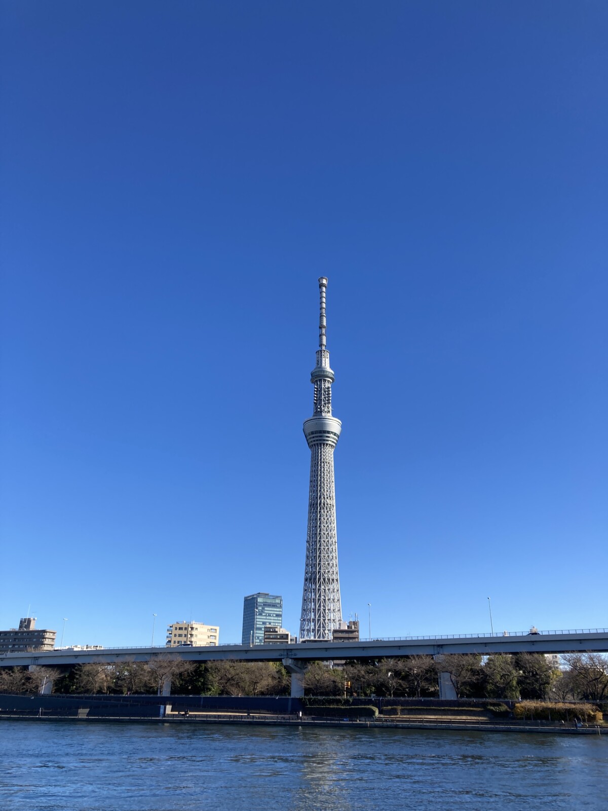 Tokyo Sky Tree 