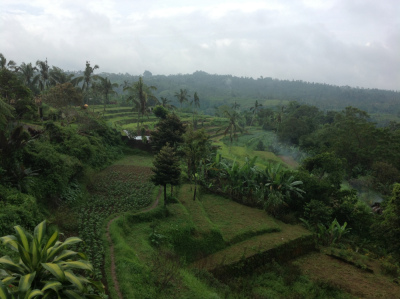 Pacung, Bali