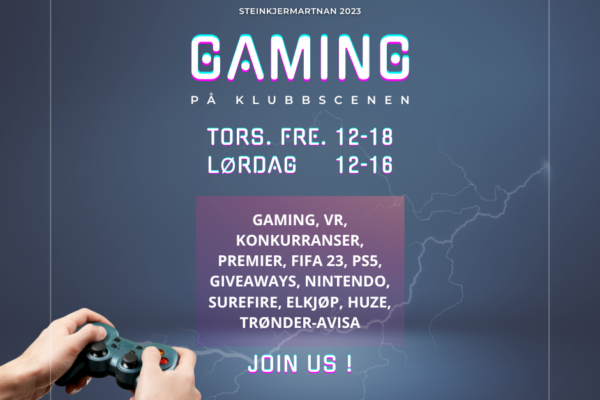 Gaming på Steinkjermartnan – Foreløpig timeplan!