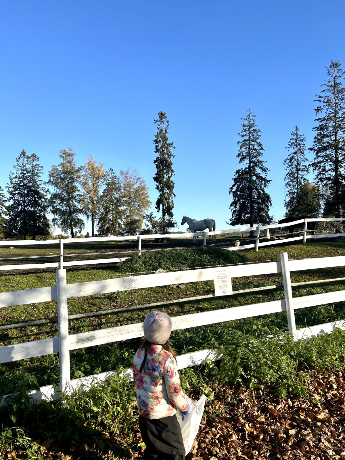 Yngste barnebarn ser på hester på EKT og plukker høstblader