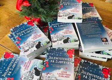 Julemysteriet på sjøfryd eldresenter - Sjøfryds første av Lene Lauritsen Kjølner.