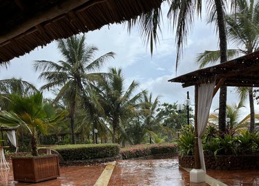 Regn på Zanzibar betyr trøbbel