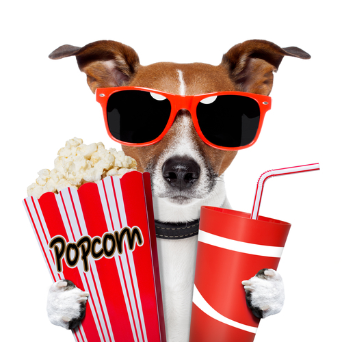 Dog watching a movie with popcorn and coke