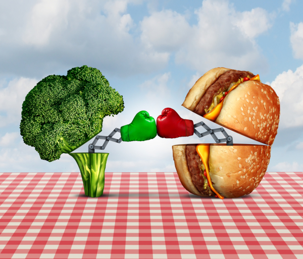 Diet battle and food fight nutrition concept as a fresh healthy broccoli fighting an unhealthy cheese burger with boxing gloves punching each other.